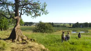 Backdrop to the movie "A Hero