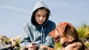 Backdrop to the movie "White God" #276207