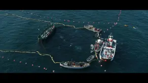 Backdrop to the movie "Big Red" #418441