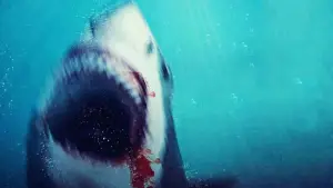 Backdrop to the movie "Bull Shark 2" #739575