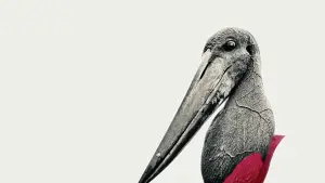 Backdrop to the movie "Eureka" #756746