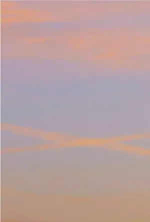 Poster to the movie "Home! Home!" #410043