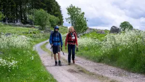 Backdrop to the movie "Compostelle" #796468