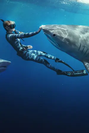 Poster to the movie "Shark Whisperer" #793241