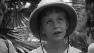 Backdrop to the movie "De Indische tafel, jongens van de Japanse kampen" #777235