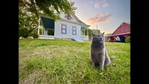 Backdrop to the movie "Red Letter Media Investigates: The Villisca Ax Murder House" #733605