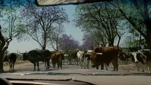 Backdrop to the movie "Y Tu Mamá También" #698370