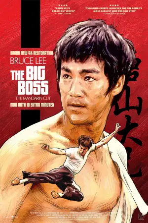 Poster to the movie "The Big Boss" #808703