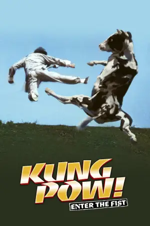 Poster to the movie "Kung Pow: Enter the Fist" #873986