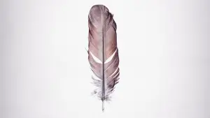 Backdrop to the movie "Tickled" #471666