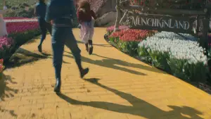 Backdrop to the movie "Wicked" #529794