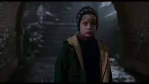 Backdrop to the movie "Home Alone 2: Lost in New York" #567436