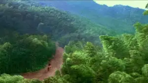 Backdrop to the movie "House of Flying Daggers" #809657