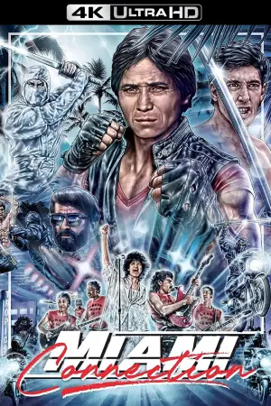 Poster to the movie "Miami Connection" #540513