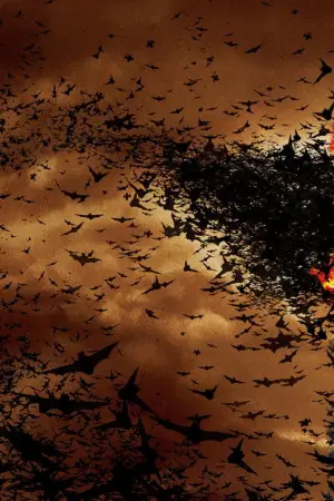 Poster to the movie "Batman Begins" #558745