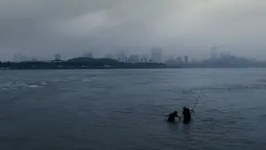 Backdrop to the movie "The Host" #701222