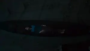 Backdrop to the movie "Kuyank" #538440