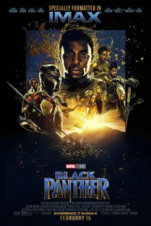 Poster to the movie "Black Panther" #563167
