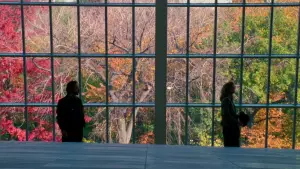 Backdrop to the movie "When Harry Met Sally..." #665180