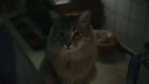 Backdrop to the movie "Caught Stealing" #527883