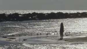 Backdrop to the movie "Willow World" #777814