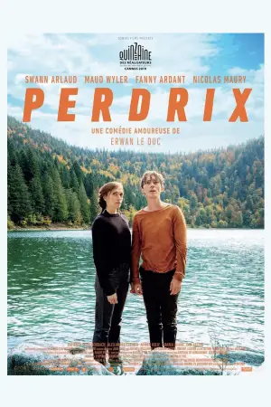 Poster to the movie "The Bare Necessity" #705234