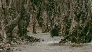 Backdrop to the movie "Kanto" #536759