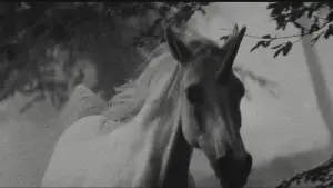 Backdrop to the movie "Blade Runner" #563424