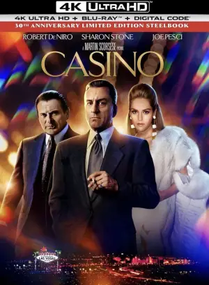 Poster to the movie "Casino" #751138