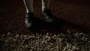 Backdrop to the movie "Field of Dreams" #719606