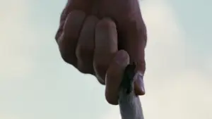 Backdrop to the movie "Ace Ventura: When Nature Calls" #808872