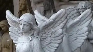 Backdrop to the movie "Castration Movie Expansion Pack i. You