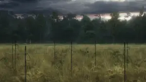 Backdrop to the movie "Annihilation" #618573