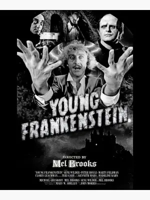 Poster to the movie "Young Frankenstein" #682323