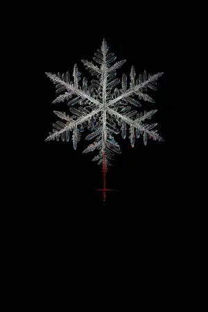 Poster to the movie "The Lodge" #710812