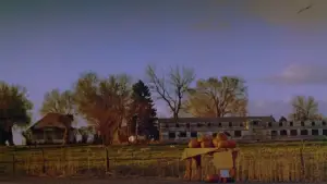 Backdrop to the movie "Halloween 4: The Return of Michael Myers" #732761