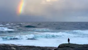 Backdrop to the movie "The Outrun" #620961