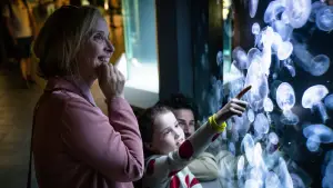 Backdrop to the movie "My Zoe" #672263