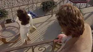 Backdrop to the movie "Body Double" #648183