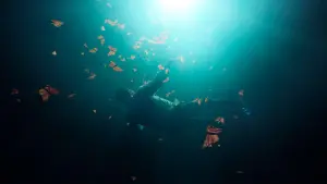 Backdrop to the movie "El guardián de las monarcas" #449211