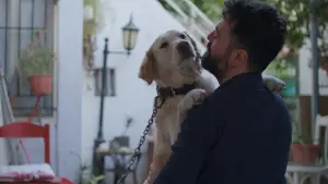 Backdrop to the movie "Home Bitter Home" #564394