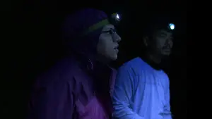 Backdrop to the movie "Nocturnes" #787089