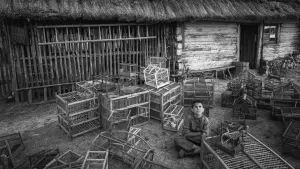 Backdrop to the movie "The Painted Bird" #371978