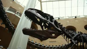 Backdrop to the movie "Bugonia" #511982