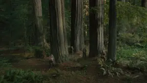 Backdrop to the movie "Sasquatch Sunset" #745845