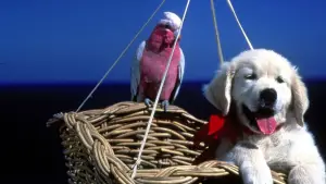 Backdrop to the movie "Napoleon" #646956