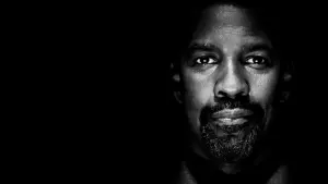 Backdrop to the movie "Safe House" #327795