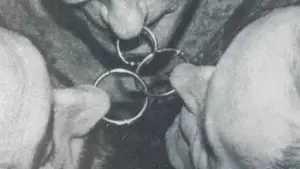 Backdrop to the movie "A Body to Live In" #771466