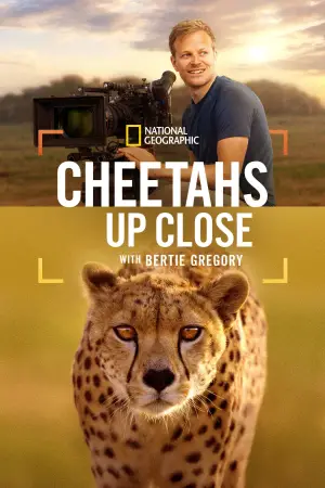 Poster to the movie "Cheetahs Up Close with Bertie Gregory" #539402