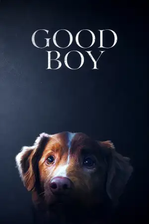 Poster to the movie "Good Boy" #830669